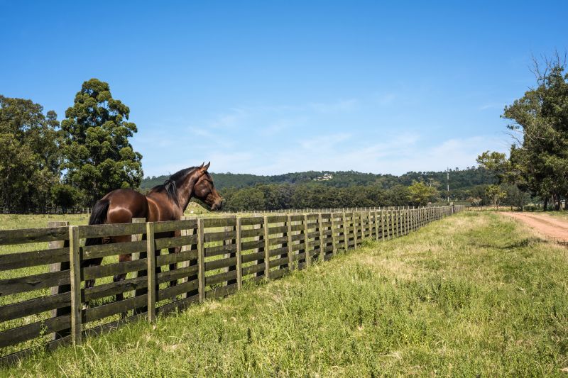 Ranch Fence Replacement in Pearland, TX